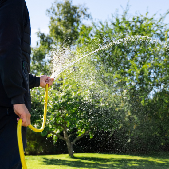 Tr�dg�rdsslang - Gul